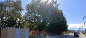 rami pericolosi parco lineare sud