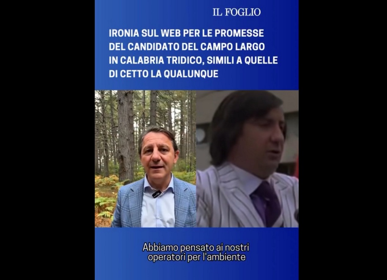 tridico cetto la qualunque