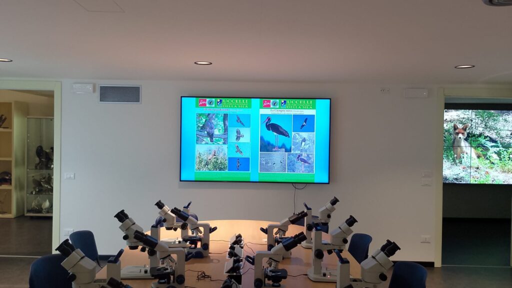 visita lipu della sila