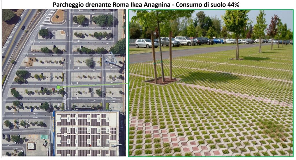 wwf palermo