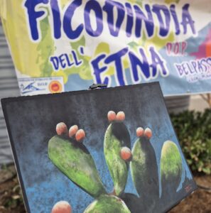 CATANIA SAGRA FICO D'INDIA