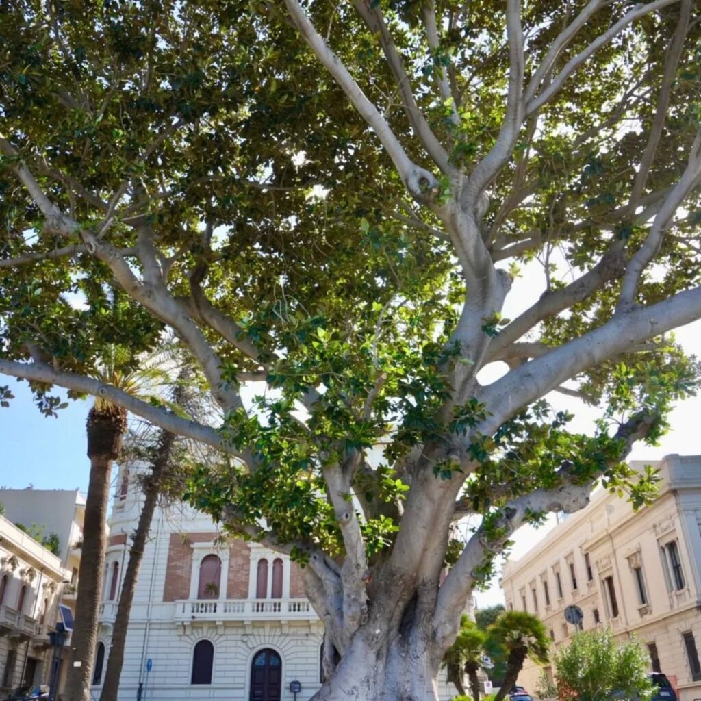 Alessandro Borghese a Reggio Calabria
