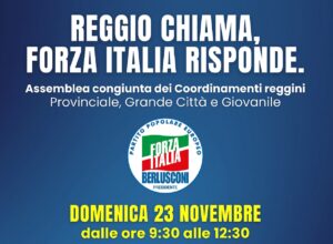 Assemblea congiunta Coordinamenti RC