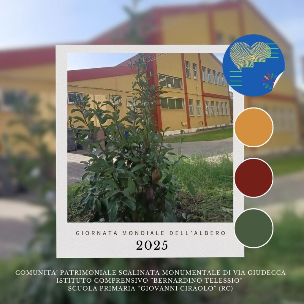 Giornata Mondiale dell'Albero scuola Ciraolo
