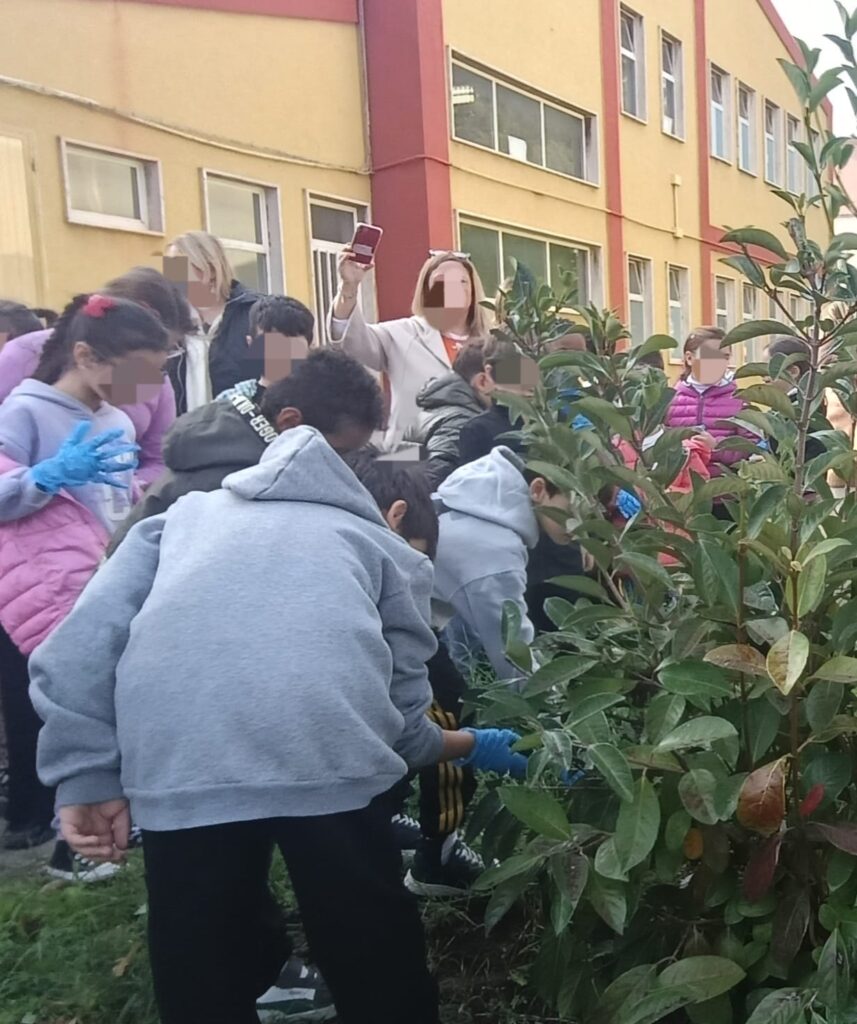 Giornata Mondiale dell'Albero scuola Ciraolo