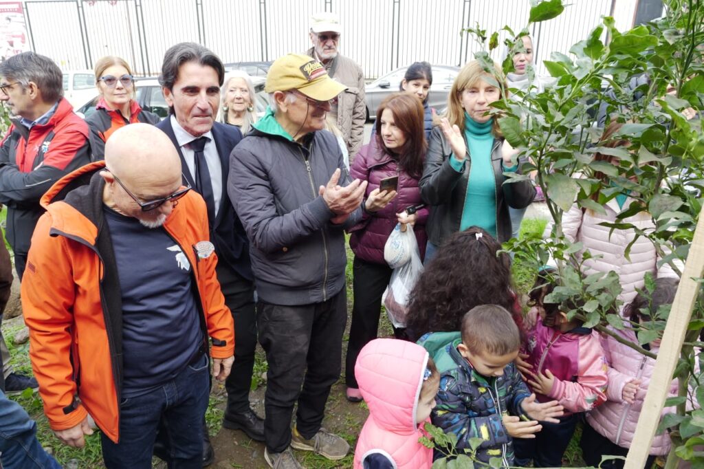 Giornata alberi Reggio Calabria