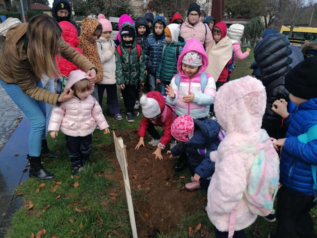 Giornata albero santo stefano