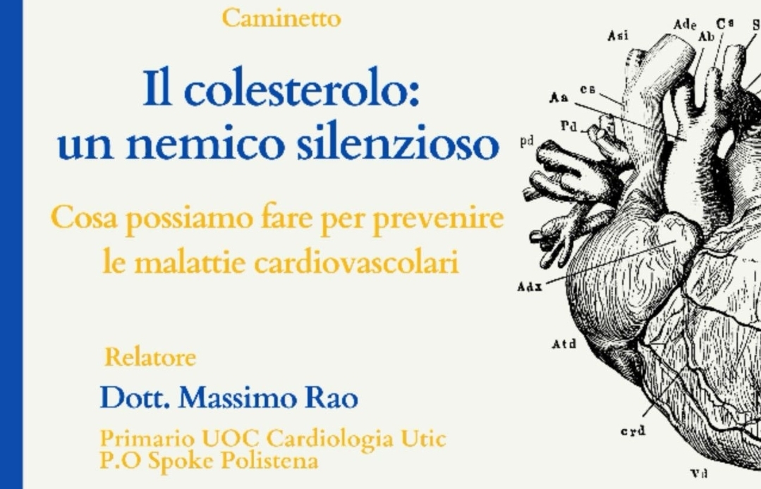 Il colesterolo nemico silenzioso