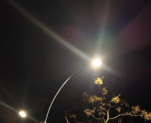 Illuminazione Via Roma Reggio Calabria