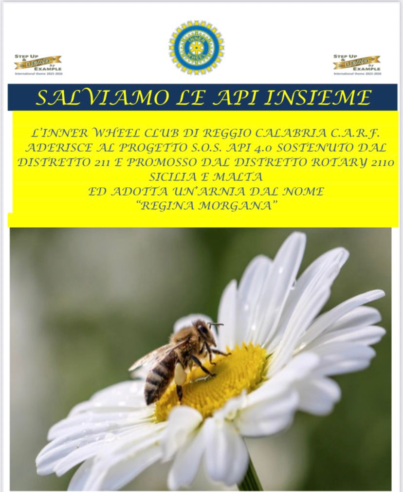 Locandina Inner Wheel Api