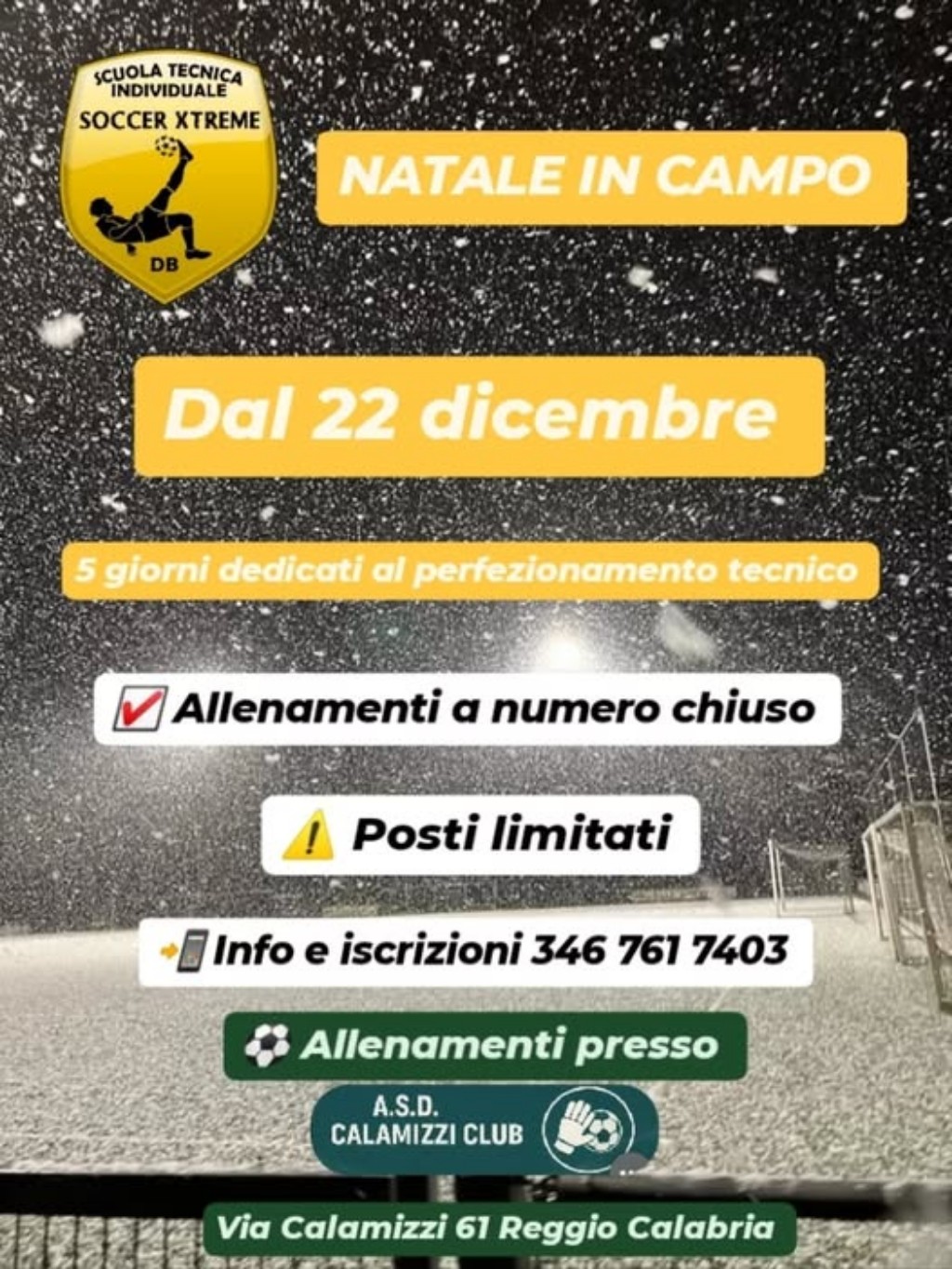 Locandina Natale in campo 2025