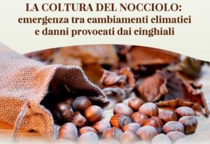 Locandina generale Assemblea Straordinaria