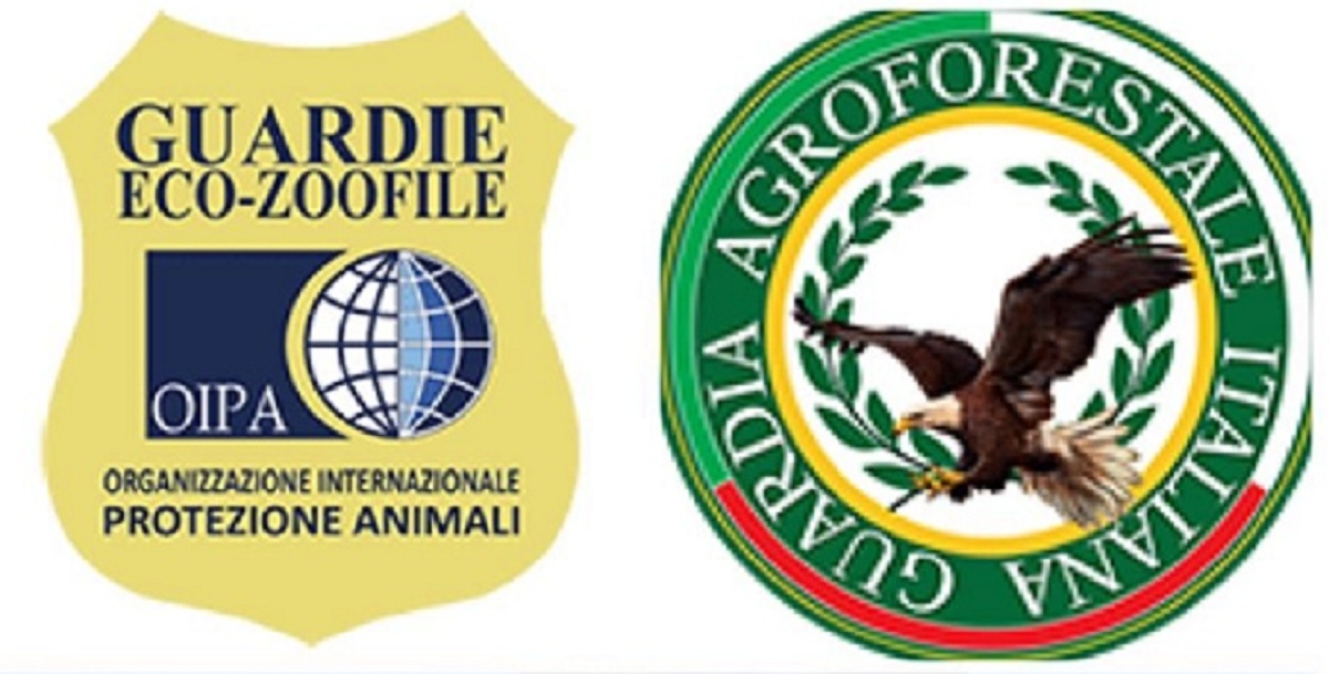 OIPA ODV – ETS Reggio Calabria e Guardia Agroforestale Italiana ODV – ETS