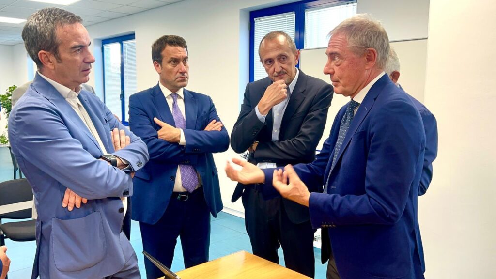 Occhiuto, pacienza, urso