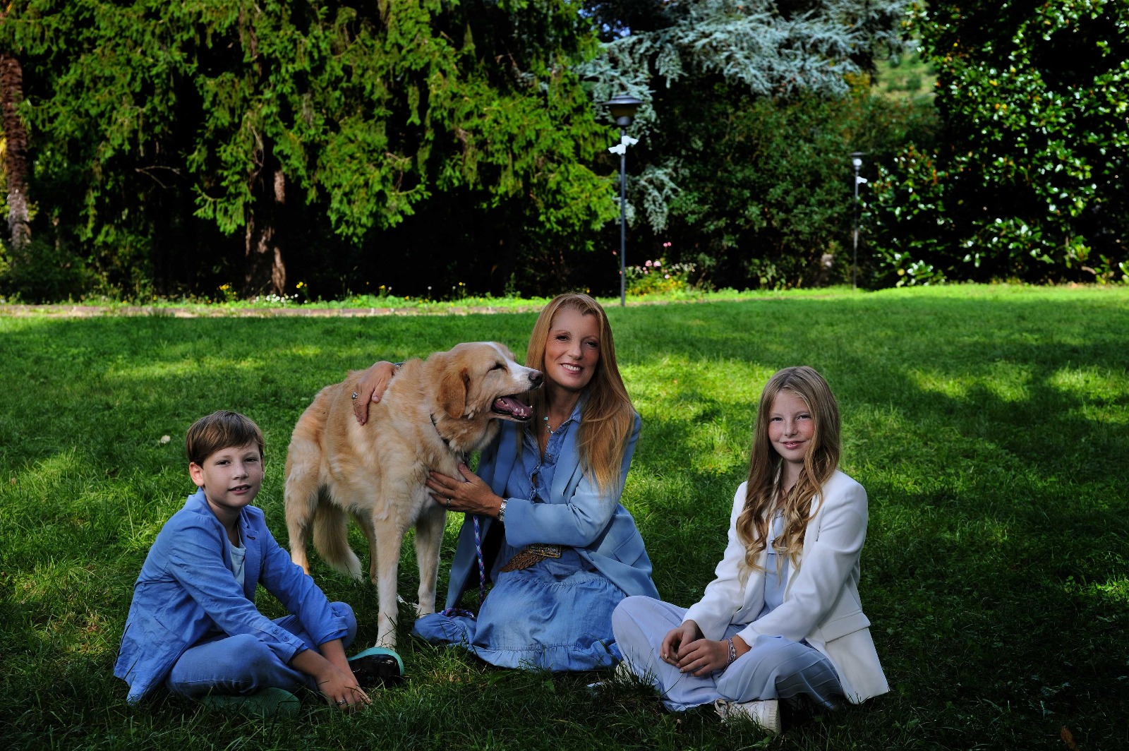 brambilla cani