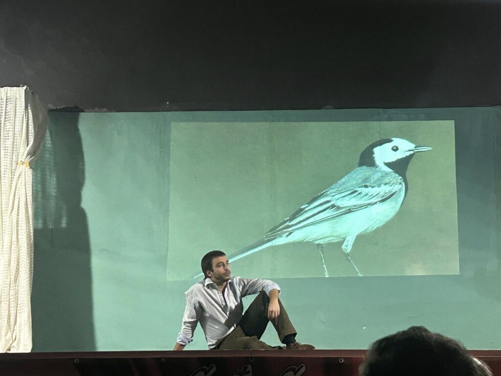 Rapsodie Agresti Calabriae Opera Musica Festival