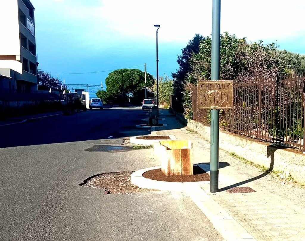 alberi piantumati a pellaro