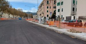alberi viale giostra
