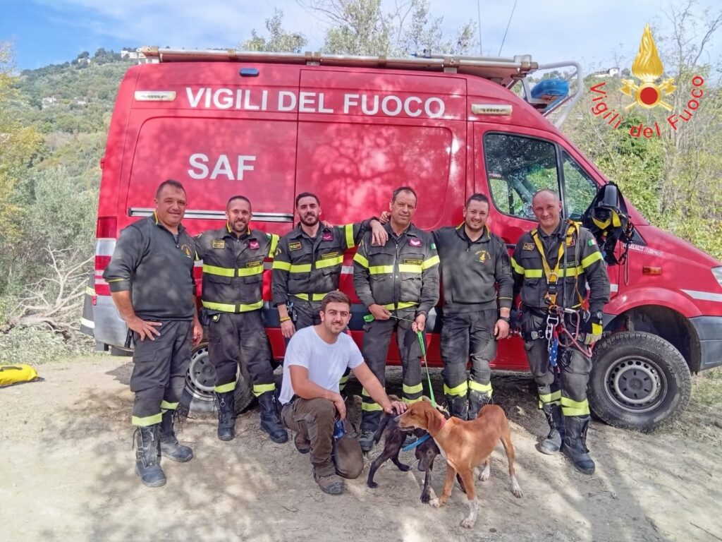 cani da caccia salvati