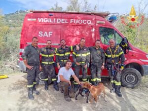 cani da caccia salvati