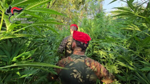carabinieri droga