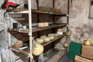 carabinieri formaggi sequestrati