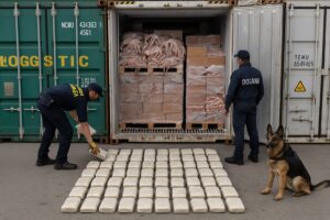 cocaina camion gdf