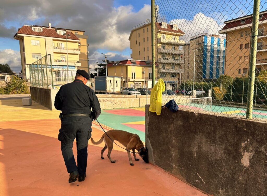 controlli antidroga cane