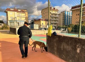 controlli antidroga cane