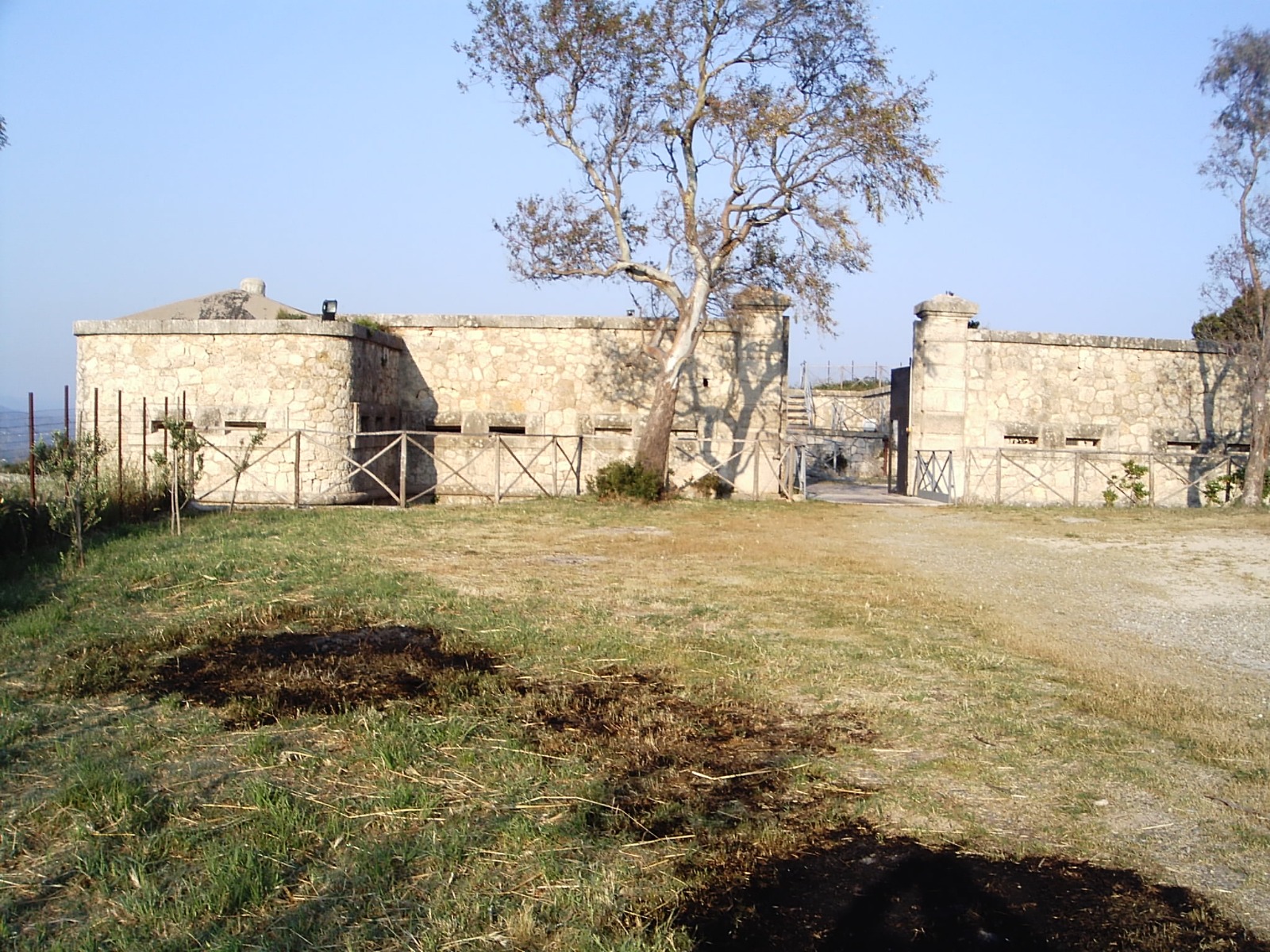 forte salice