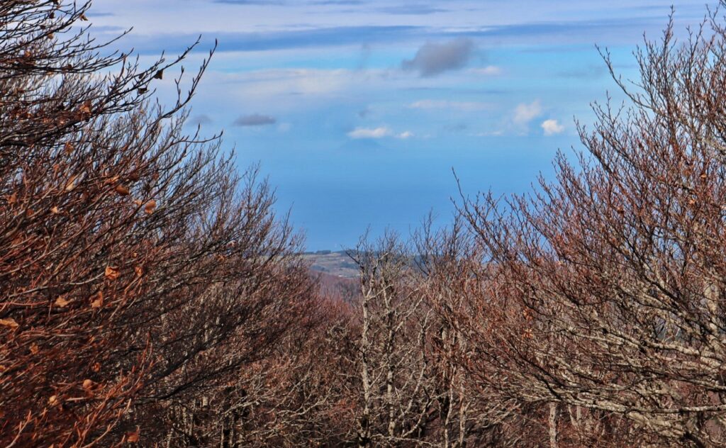 montalto posa croce cristo redentore 8 novembre 2025