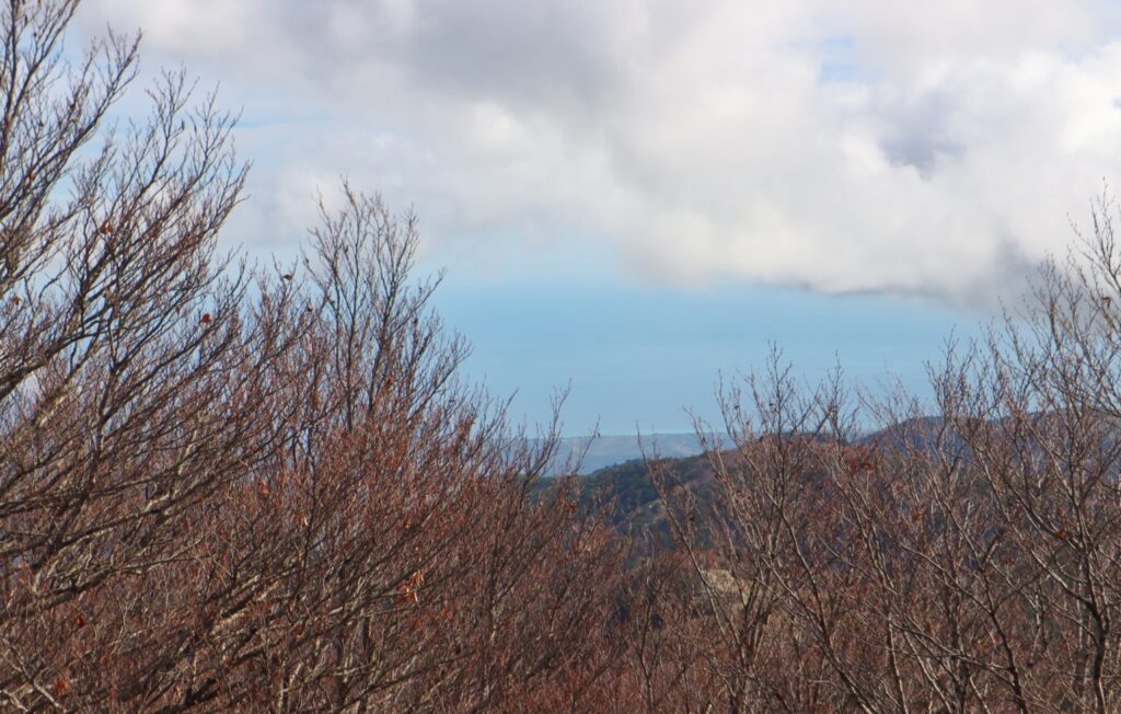 montalto posa croce cristo redentore 8 novembre 2025
