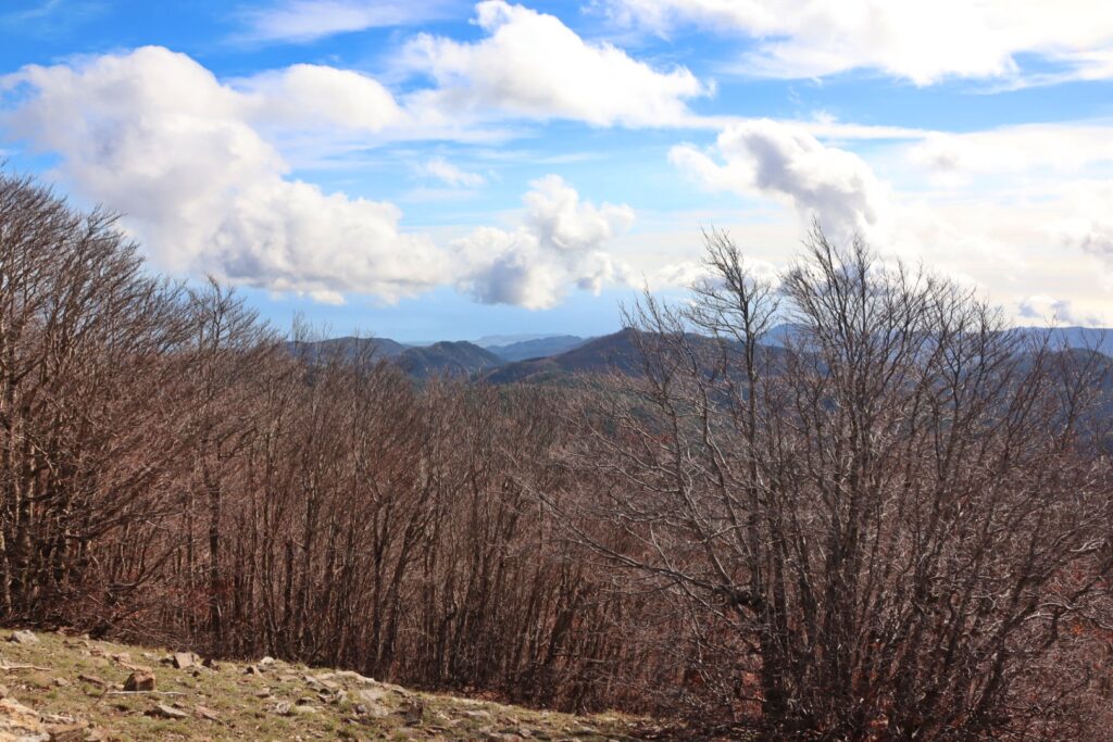 montalto posa croce cristo redentore 8 novembre 2025