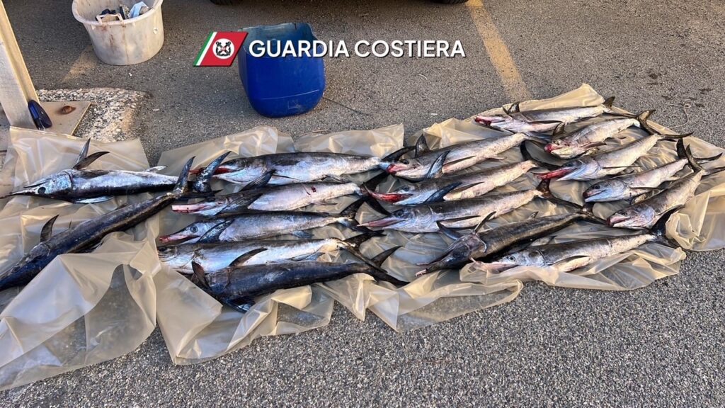 sequestro pesce spada