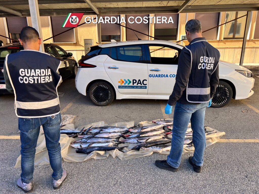 sequestro pesce spada