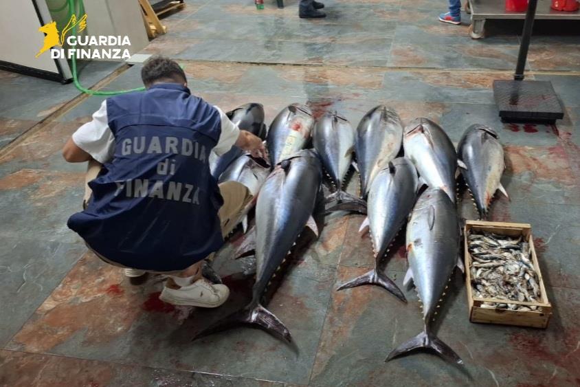 sequestro tonno rosso