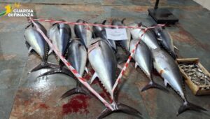 sequestro tonno rosso