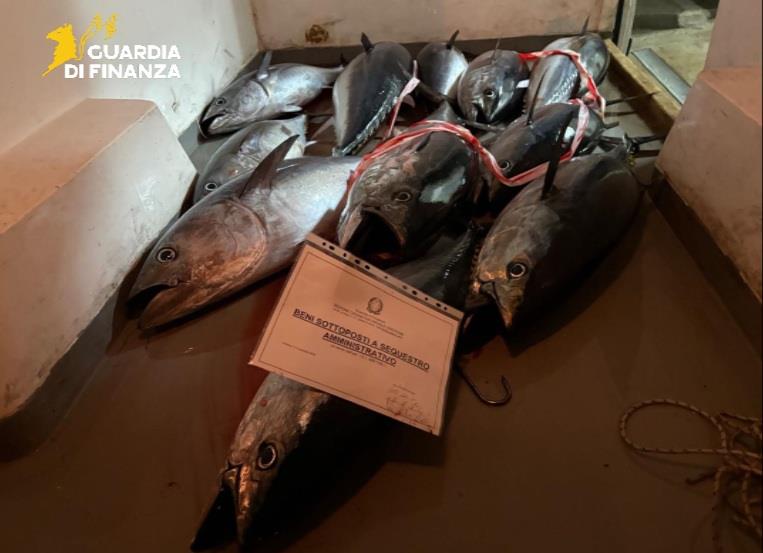 sequestro tonno rosso