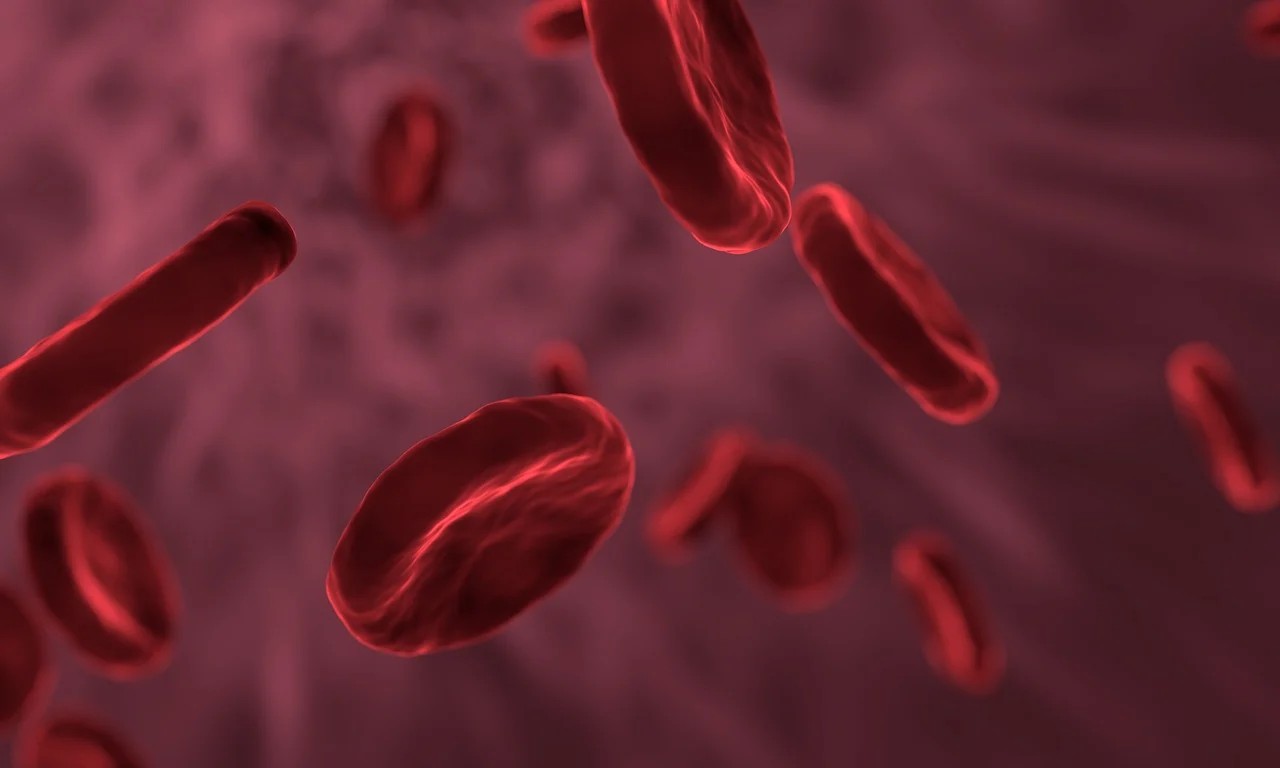 talessemia