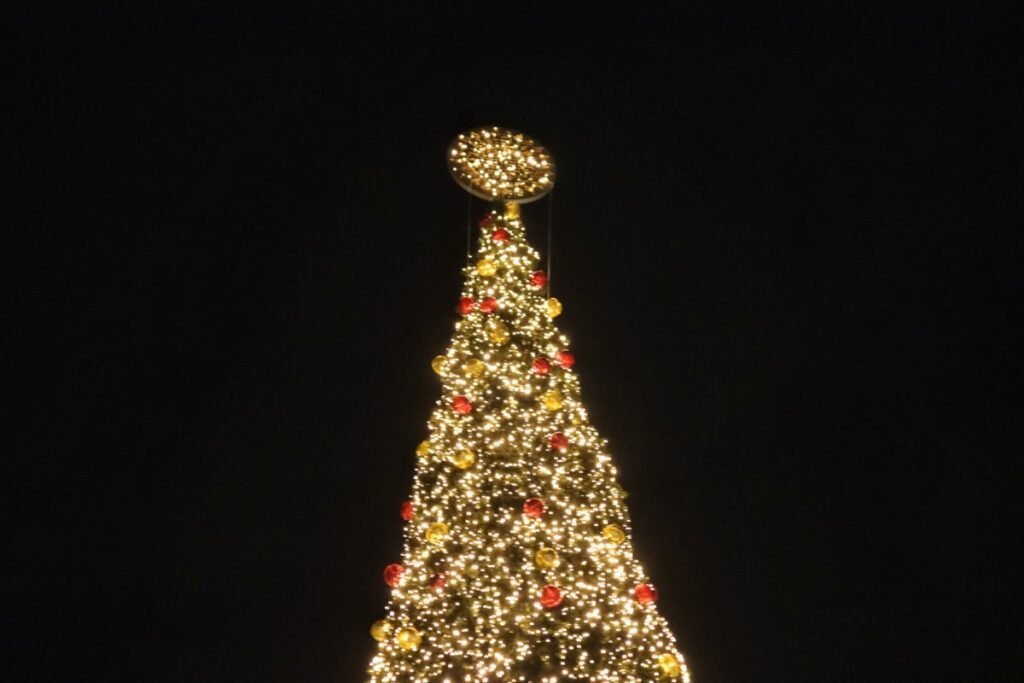 Albero Natale Piazza Duomo Reggio Calabria