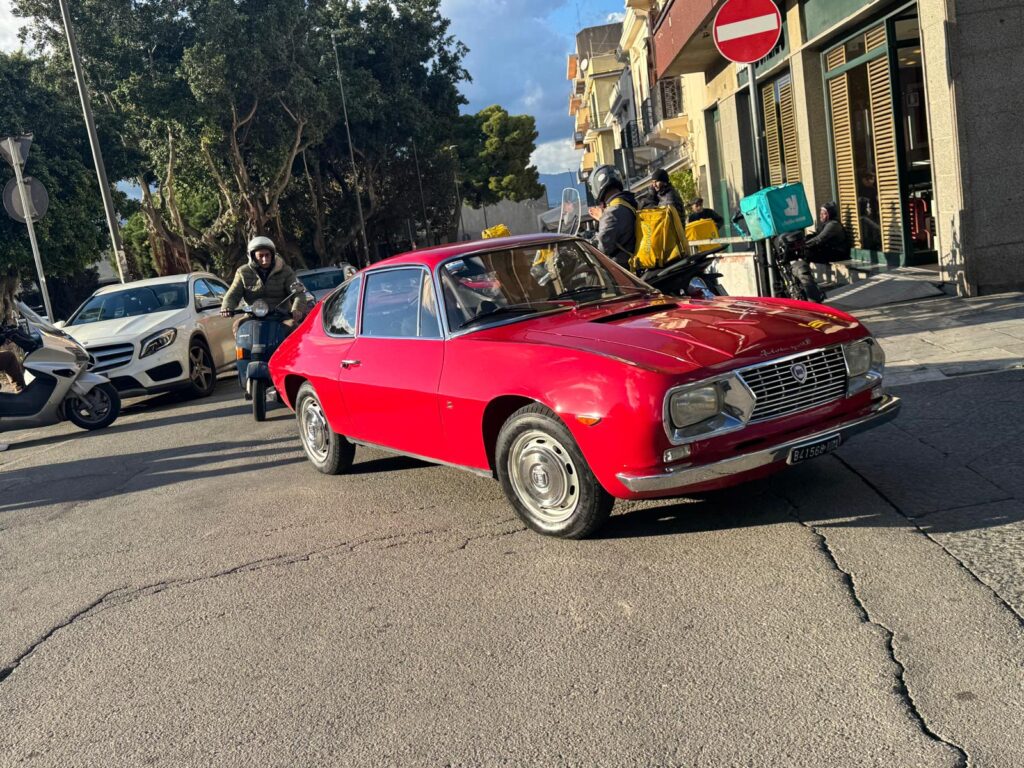 Aremes Lillo Cavallo