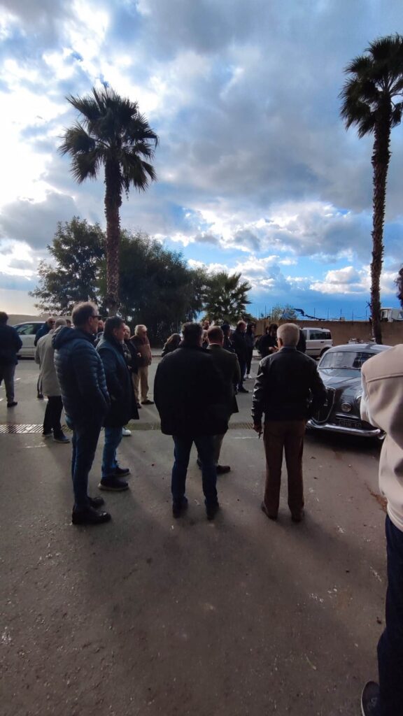 Aremes Lillo Cavallo