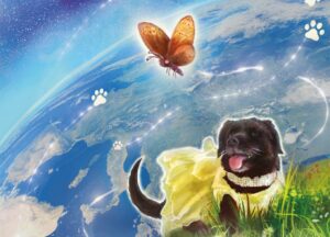 COPERTINA DEL LIBRO