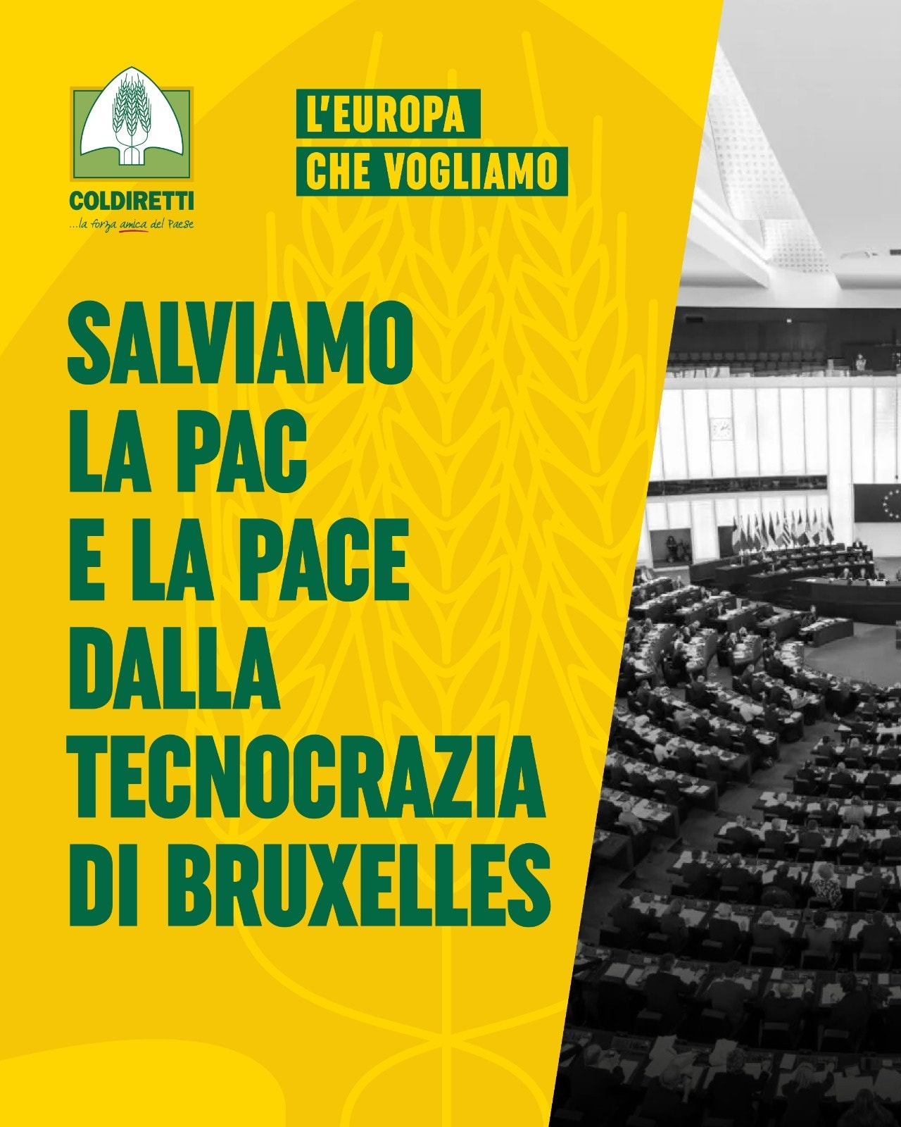 Coldiretti Calabria