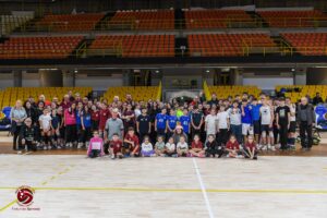 Festa Natale Amaranto Domotek