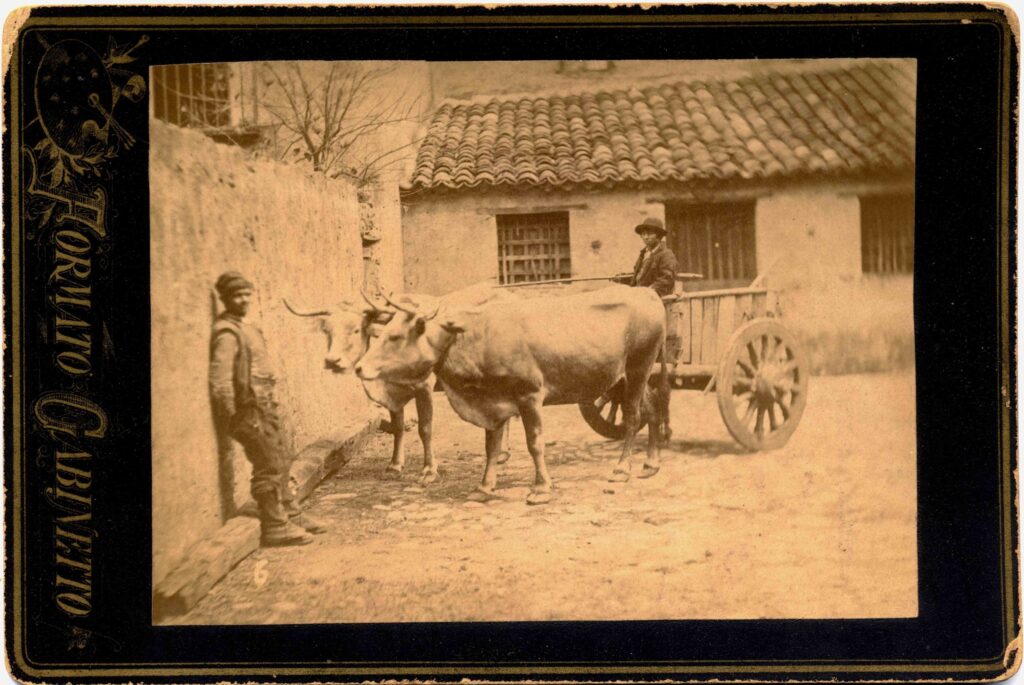 Foto Spadola