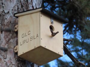 GLC LIPU SILA-IIS L.DA VINCI-Biodiversità Sila-1