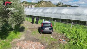 Serre droga carabinieri
