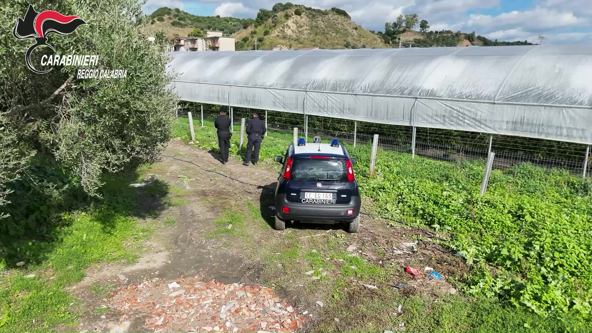Serre droga carabinieri