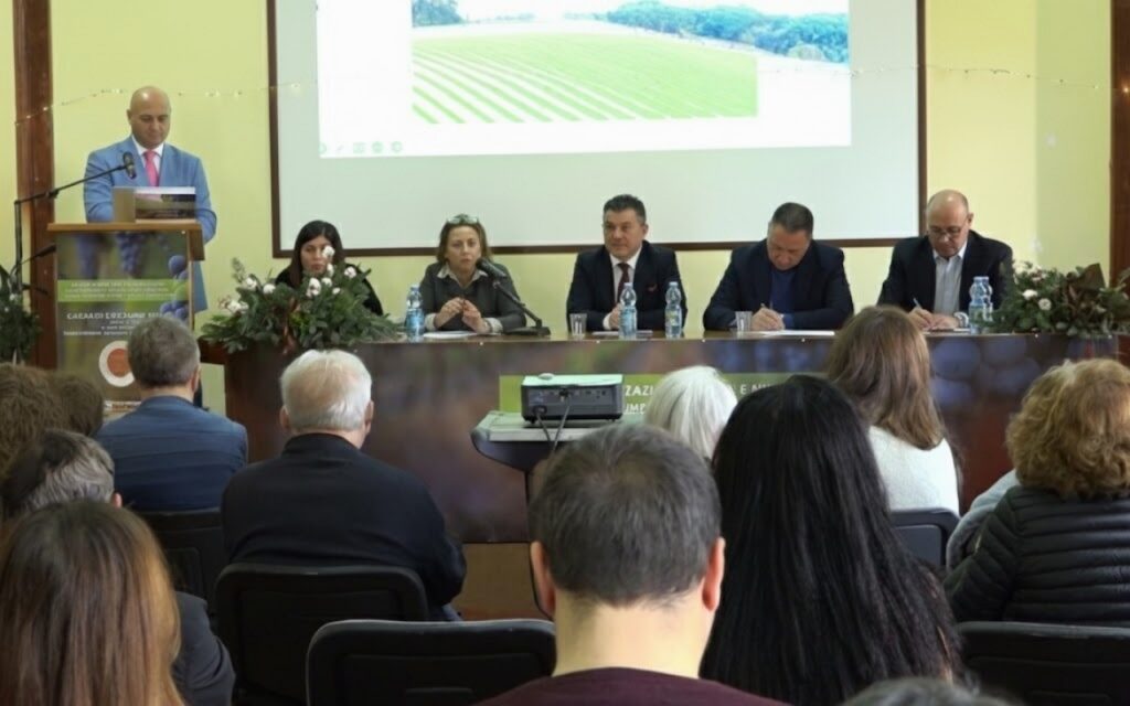 Magna Graecia Future